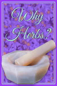 Why Herbal Treatments?